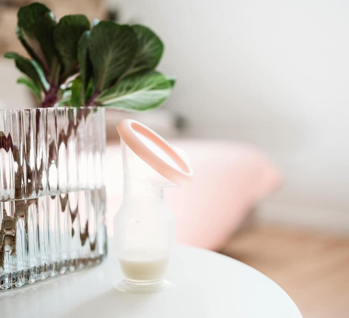 Rosebubs Silicone Milk Collector & Breast pump